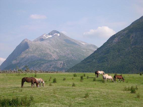 Donhaug Gjestegard Uskedalen Luaran gambar